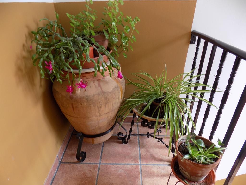 Apartamentos Casa Ferras Valderrobres Zewnętrze zdjęcie